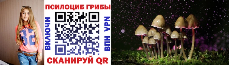 Галлюциногенные грибы Psilocybe Карпинск