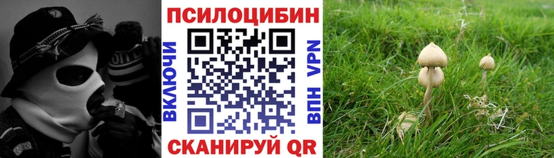 Псилоцибиновые грибы Cubensis  маркетплейс какой сайт  Карпинск 